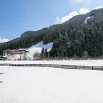 Chalet Wieserwald *